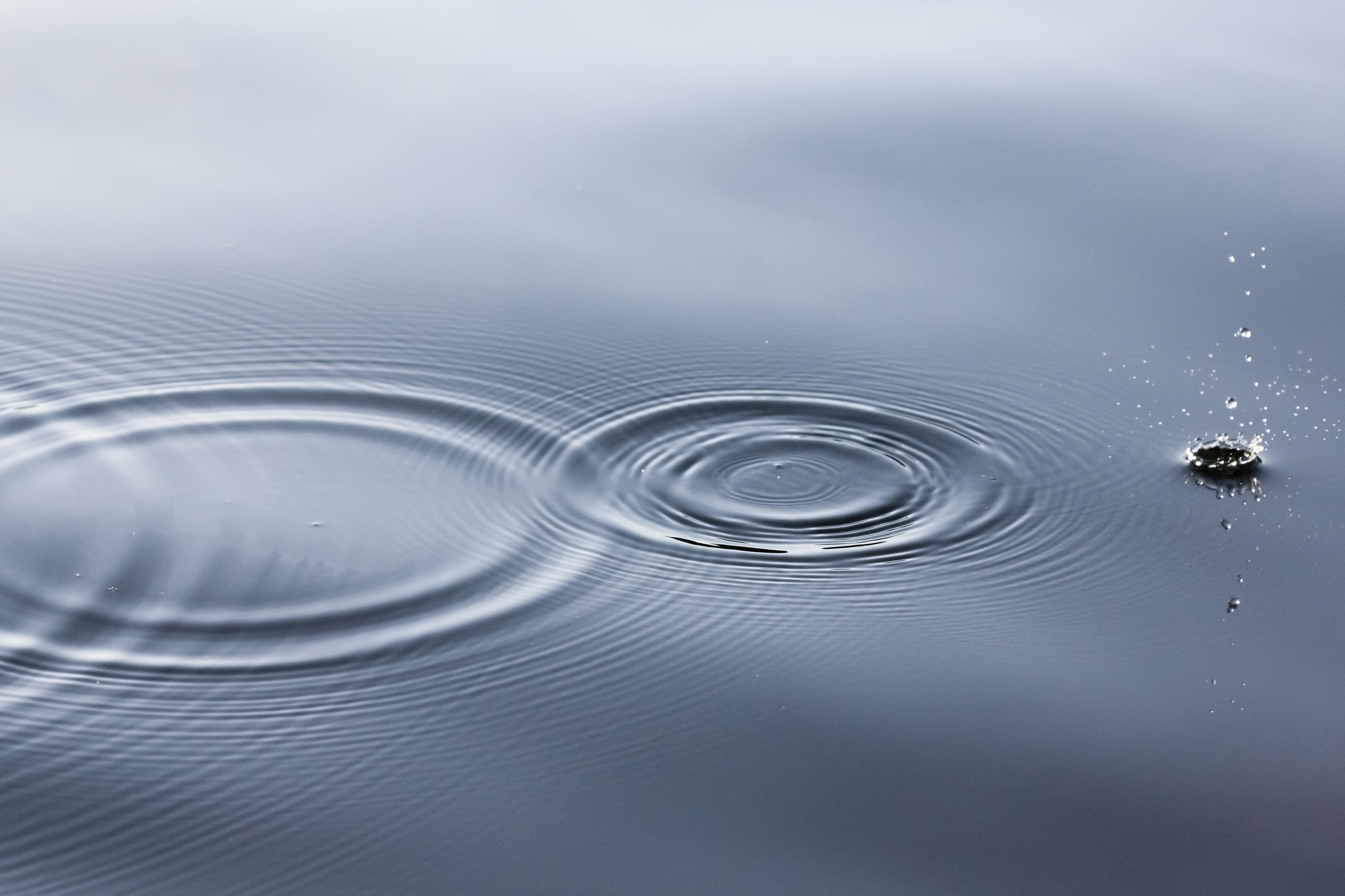 ripple effect on a water surface