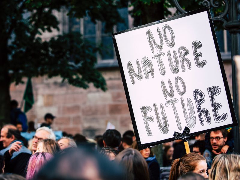 person holding a sign that says No Nature No Future
