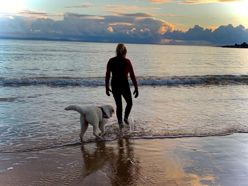 person wearing a wetsuit, going into the sea. It's sunrise and there is a dog near her. The sky is blue with a few clouds on the horizon. It's a calming image.