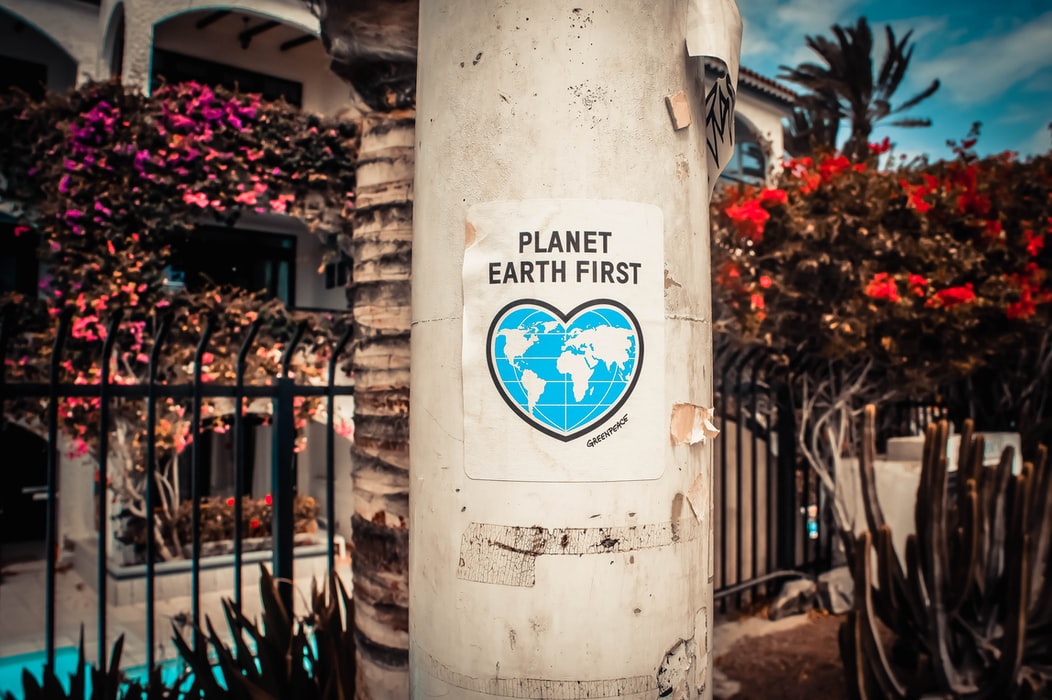 photo of a poster glued to a concrete pillar on the street. The poster says 'Planet Earth First'