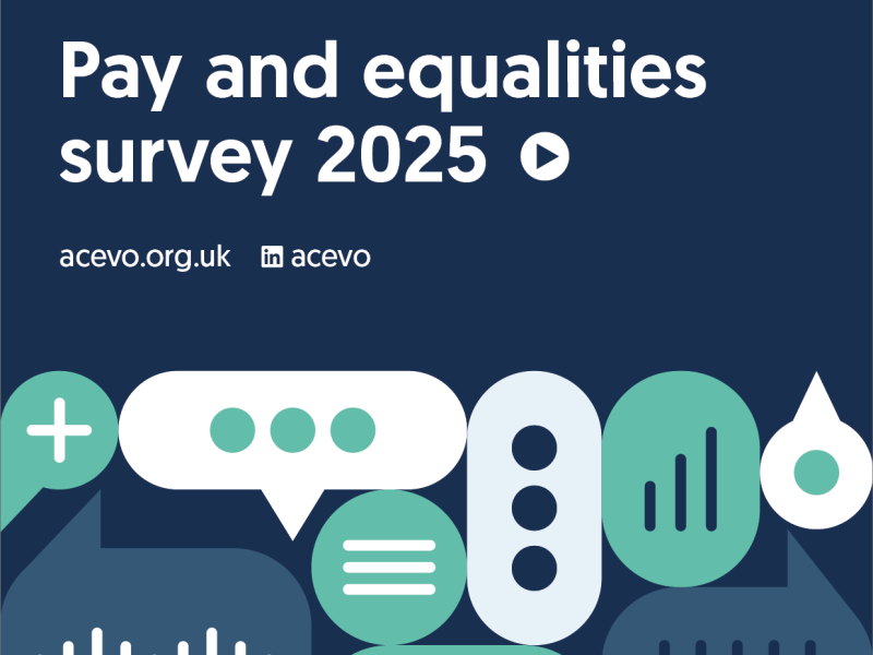 Cover of the Pay and Equalities Survey 2025